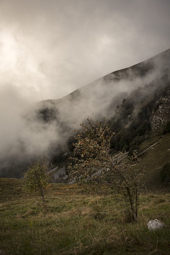 paolo burato fotografo