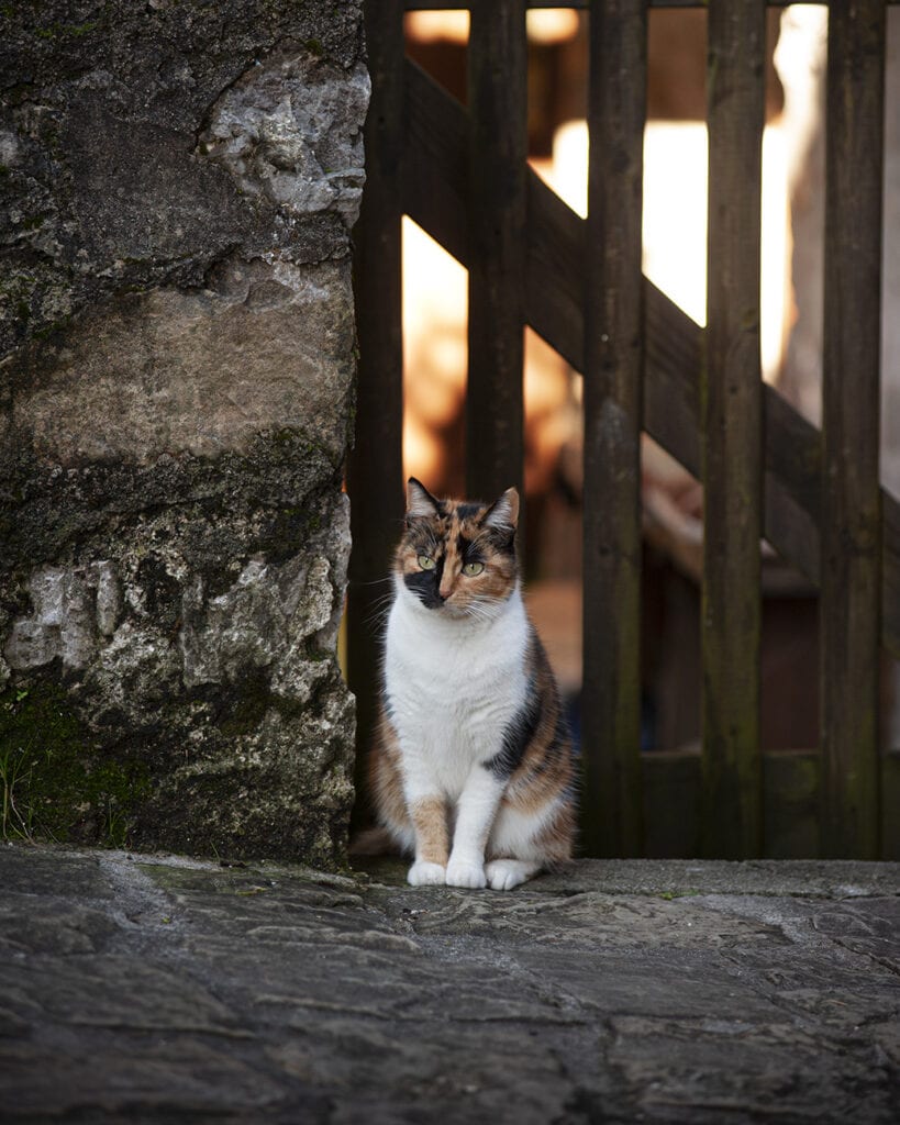 paolo burato fotografo