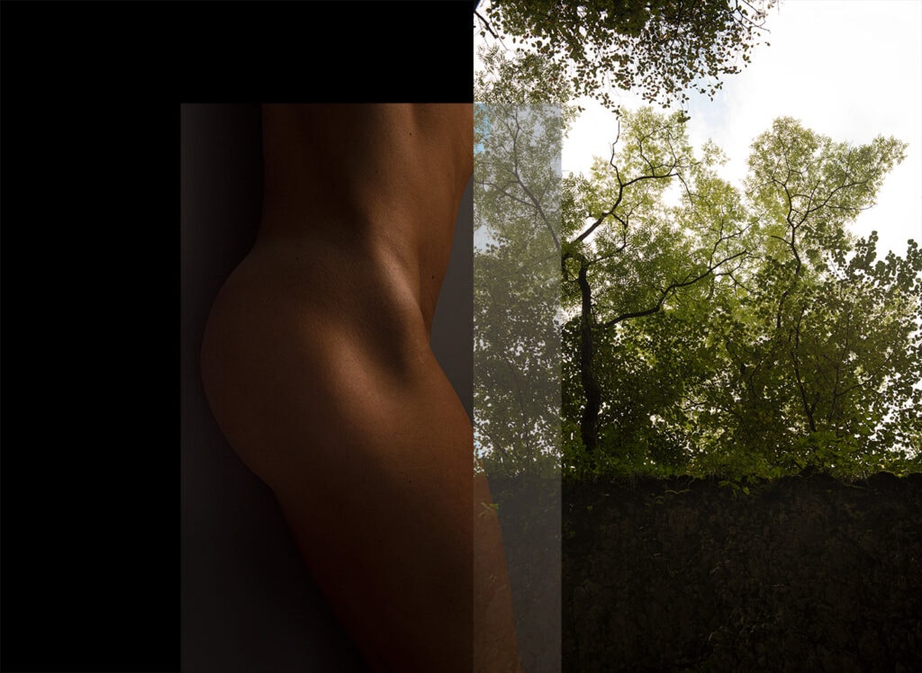 Fotografia di nudo, arte nudo
